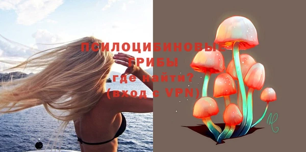 PSILOCYBIN Гусиноозёрск
