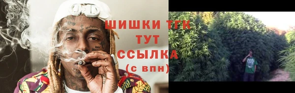дмт Осинники