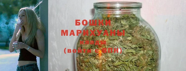 молекула духа Гусев