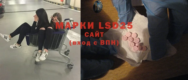 PSILOCYBIN Гусиноозёрск