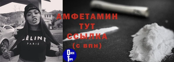 PSILOCYBIN Гусиноозёрск