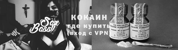 дмт Осинники