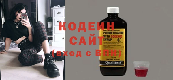 спайс Гусь-Хрустальный