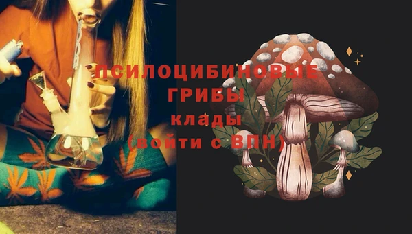 молекула духа Гусев