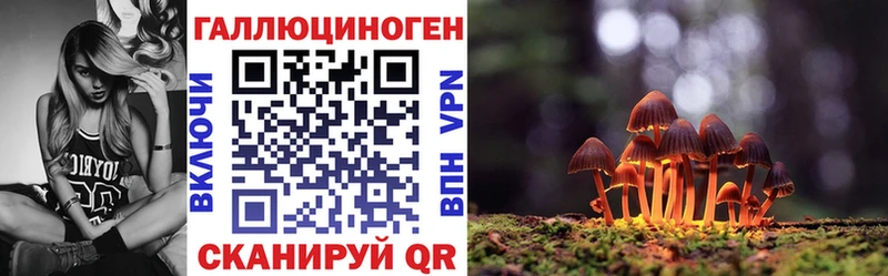 Псилоцибиновые грибы Cubensis  MEGA как войти  Нахабино 